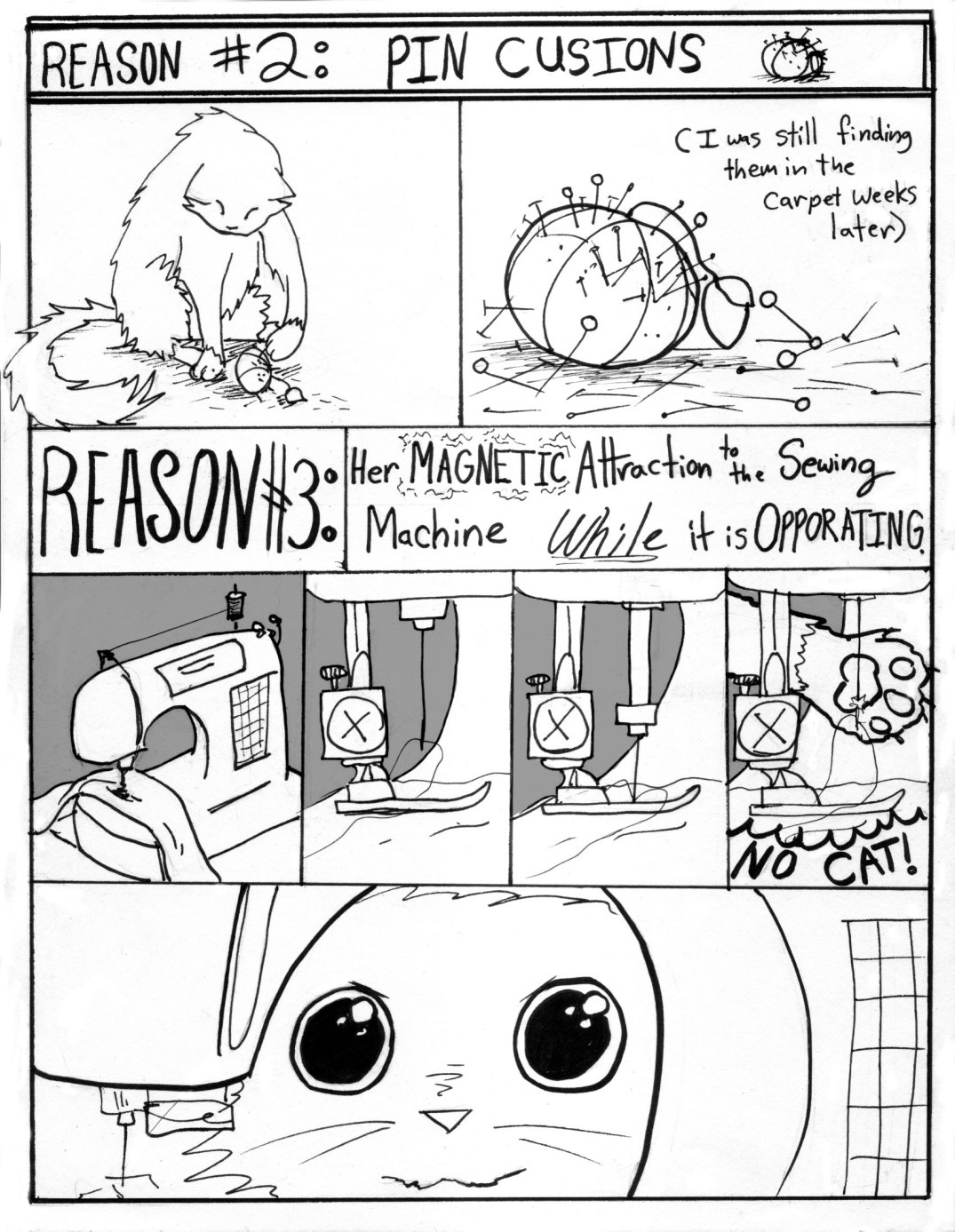 3reasons_dpmtsewwithcat